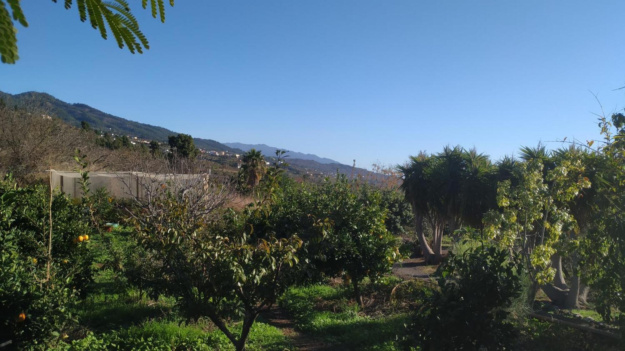 Finca Panorama Tijarafe Buitenkant foto