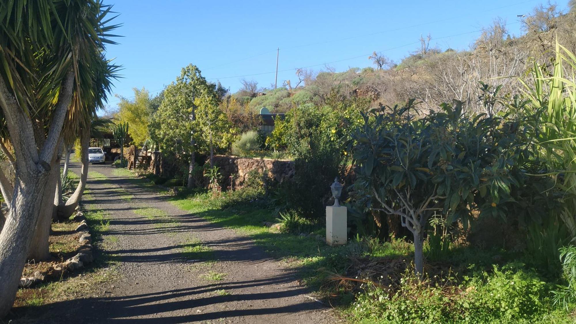 Finca Panorama Tijarafe Buitenkant foto